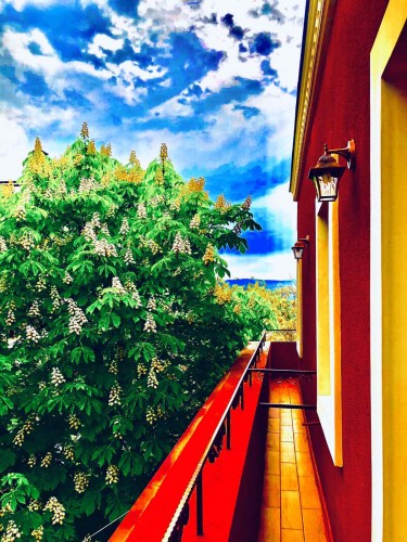 <p>Balcony/Double with balcony</p>
