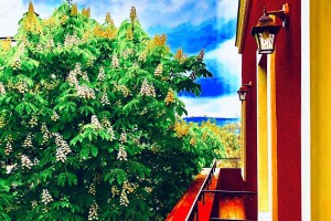 <p>Balcony/Double with balcony</p>

