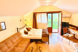 <p>Double room with balcony</p>
