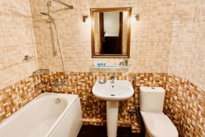 <p>Bathroom/Semi Suite </p>