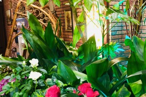 <p>Lobby</p>